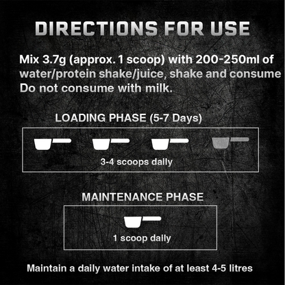 Creatine Monohydrate Assorted Pack of 5