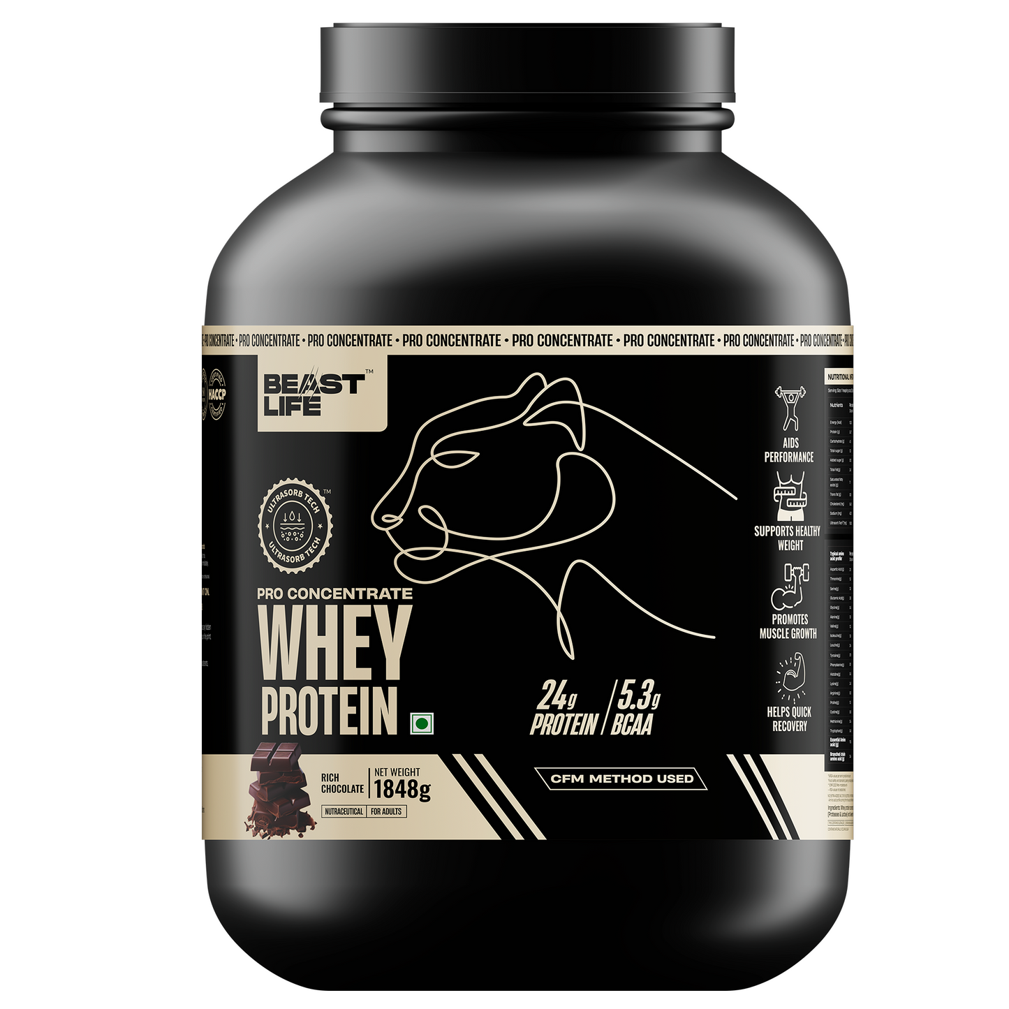Pro Concentrate Whey Protein with Ultrasorb Tech | 1848gm | Rich Chocolate