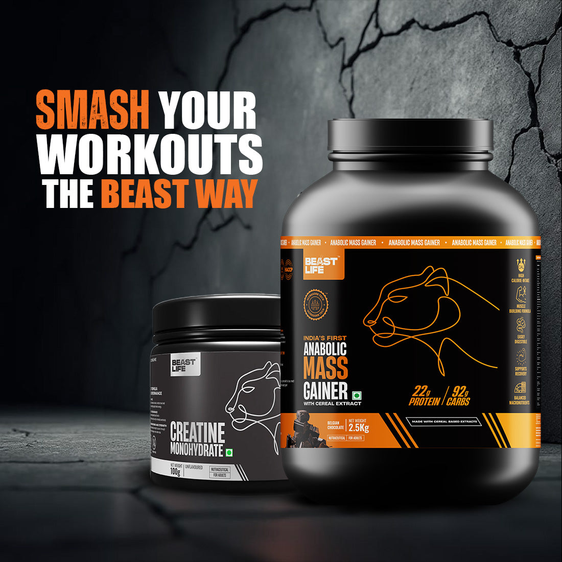 The DOMINANCE DUO | Gainer (2.5kg) + Creatine (249g)