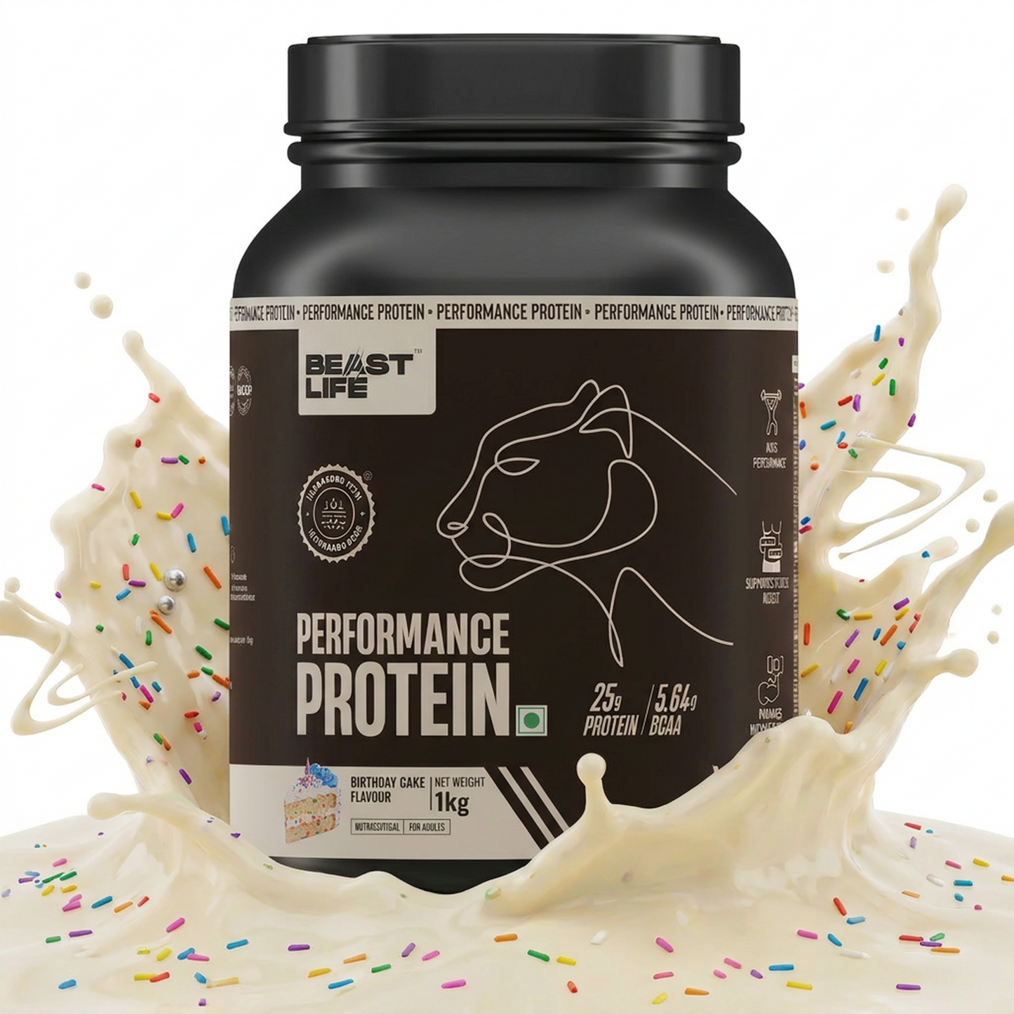 Performance Fermented Yeast Protein with Ultrasorb Tech | Birthday Cake | 1 kg