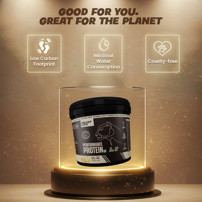 Performance Fermented Yeast Protein with Ultrasorb Tech | Mango | 4 kg