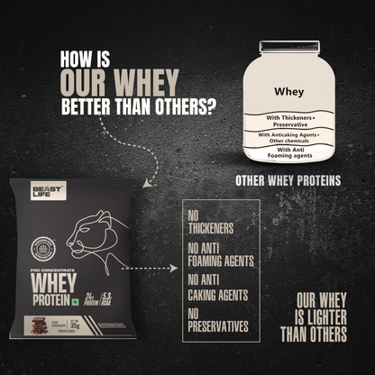 Pro Concentrate Whey Protein Rich Chocolate Sachet  35g